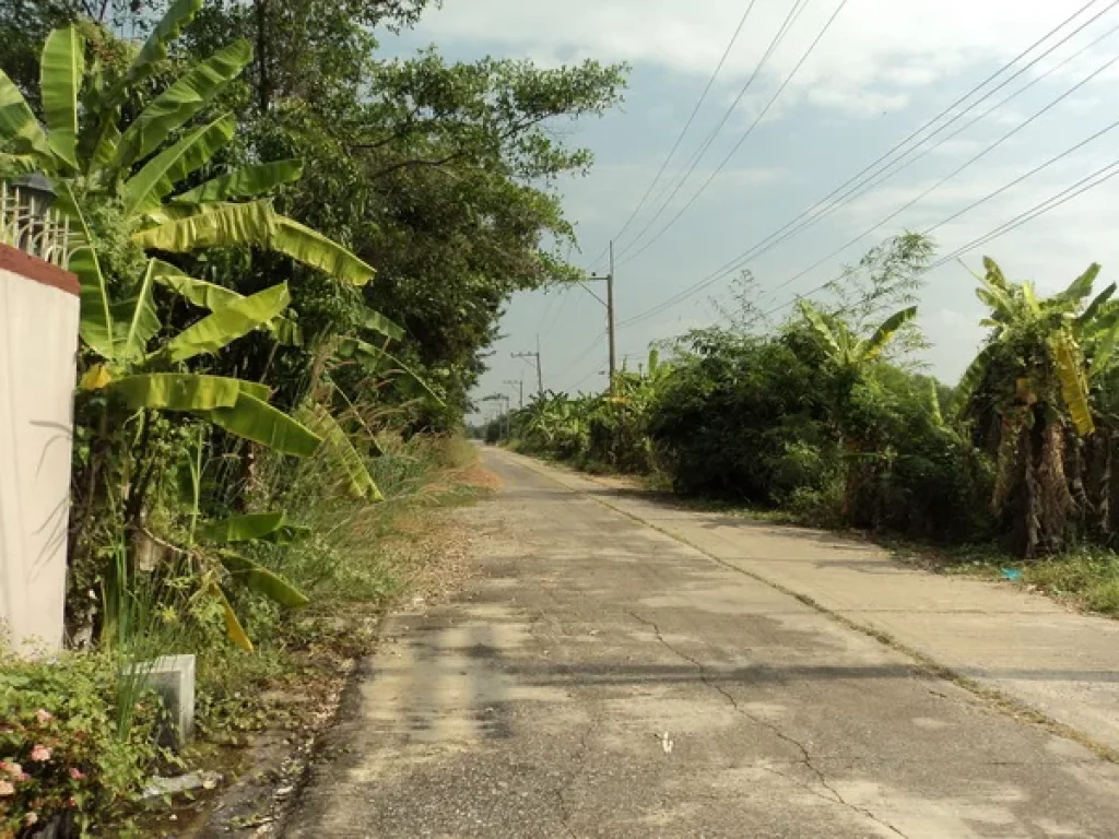 ที่ดิน บงกช 40 คลองสอง รังสิต-นครนายก คลองหลวง ปทุมธานี