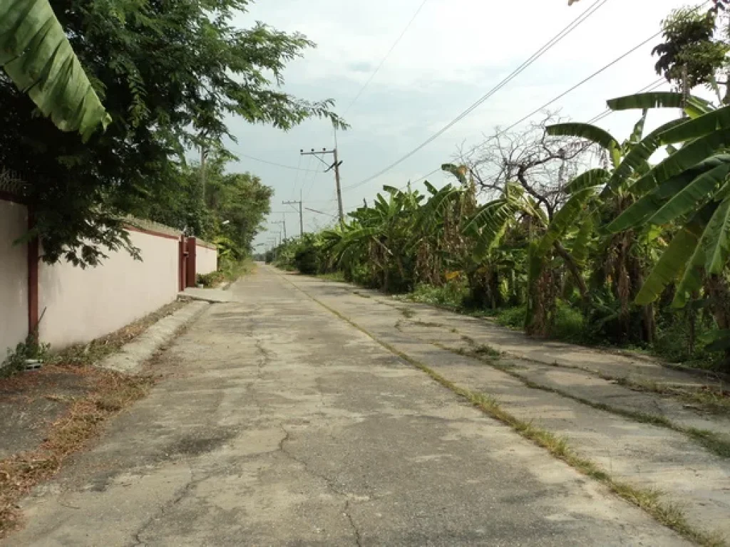 ที่ดิน บงกช 40 คลองสอง รังสิต-นครนายก คลองหลวง ปทุมธานี