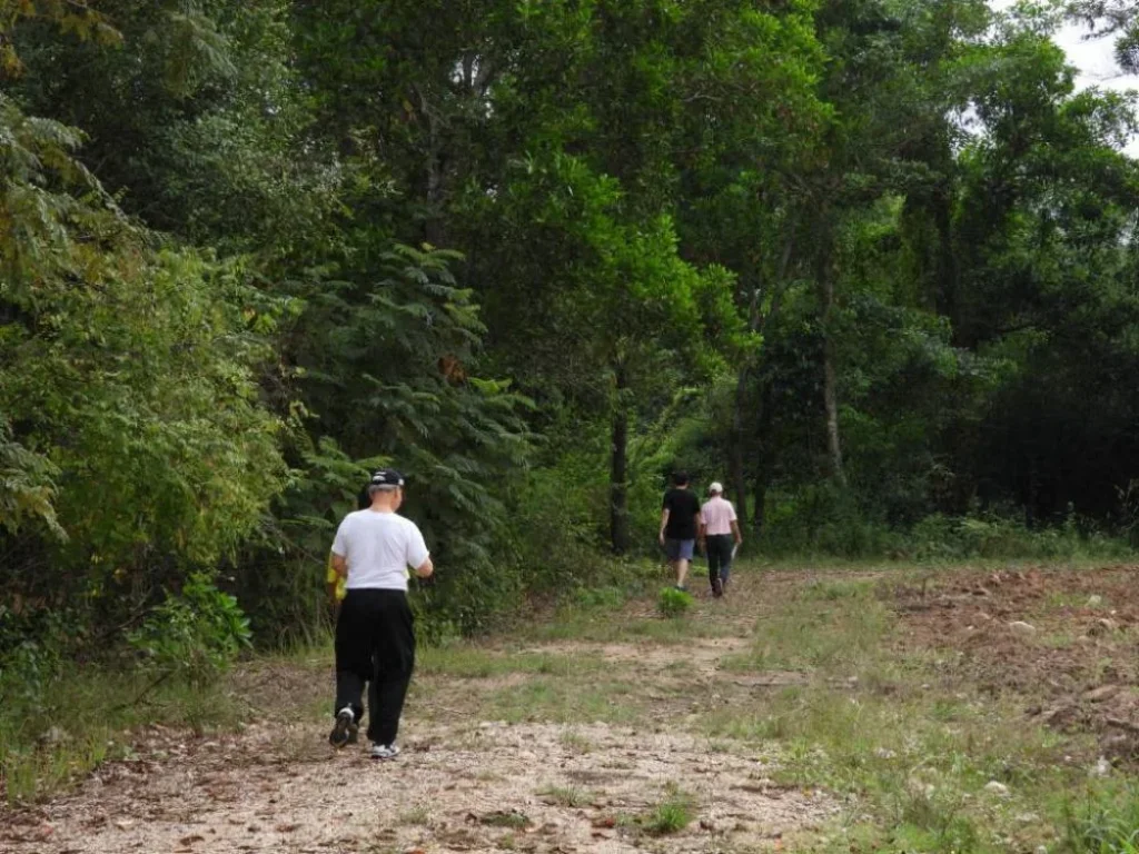 ขายที่ดินโฉนด ติดเขา จสระบุรี ถนน น้ำ ไฟฟ้า ถึงที่ แปลงละประมาณ 2ไร่