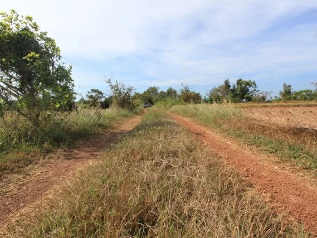 ที่ดินพื้นที่เศรษฐกิจพิเศษ วัฒนานคร จสระแก้ว เหมาะทำหมุ่บ้านจัดสรรค์