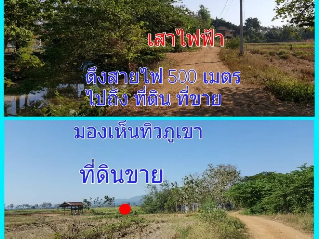 ขายที่ดินแปลงเปล่า ตวังหลวง อหนองม่วงไข่ จังหวัดแพร่ เนื้อที่ 7 ไร่ 76 ตรว