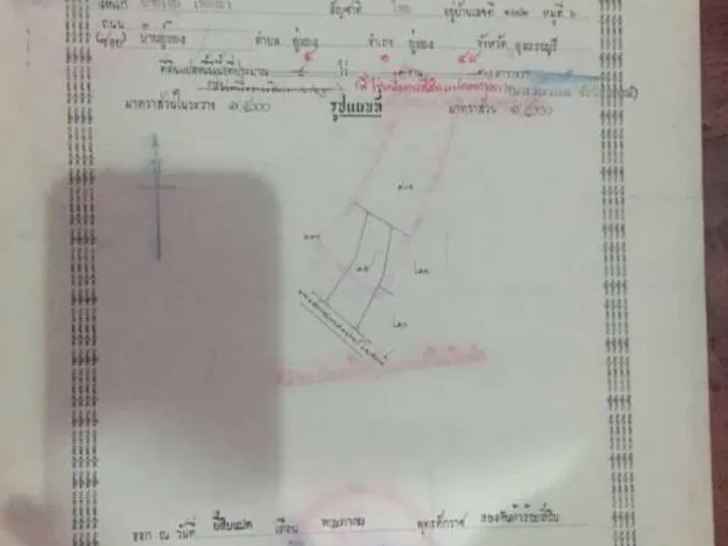 ที่ดินติดถนน 4 ไร่ 1 งาน 48 ตารางวา ออู่ทอง จสุพรรณบุรี