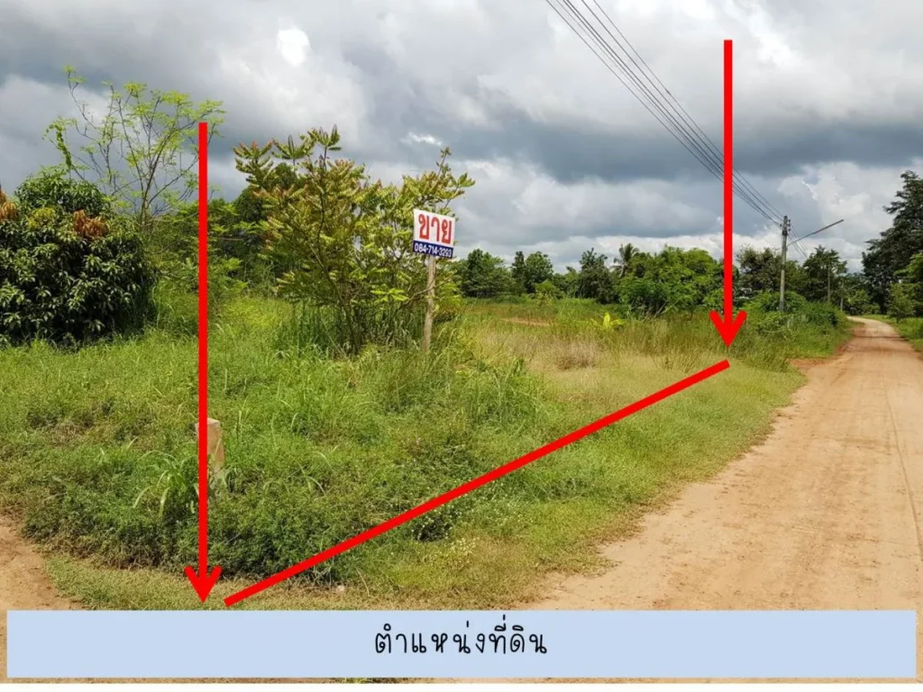 ขายที่ดินเปล่า 229 ตรวา C19 อเมือง หนองบัวลำภู Land 229 sqwa Muang Nongbualamphu for sale