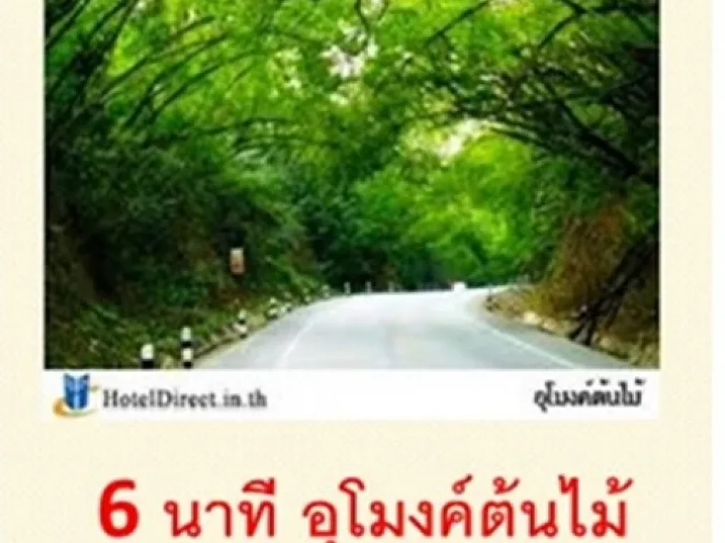 ขายที่ดินด่วน 70ไร่ วังม่วง สระบุรี โอกาสลงทุน กำไรทวีคูณ เพิ่มพูนความมั่งคั่ง ติดโรงงานโออิชิ