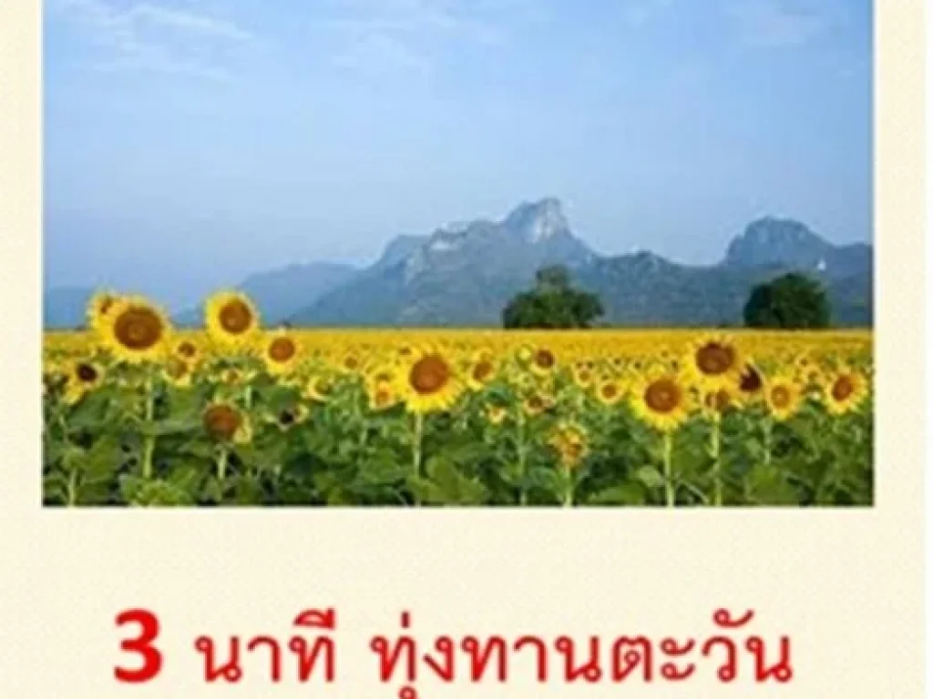 ขายที่ดินด่วน 70ไร่ วังม่วง สระบุรี โอกาสลงทุน กำไรทวีคูณ เพิ่มพูนความมั่งคั่ง ใกล้โรงงานโออิชิ