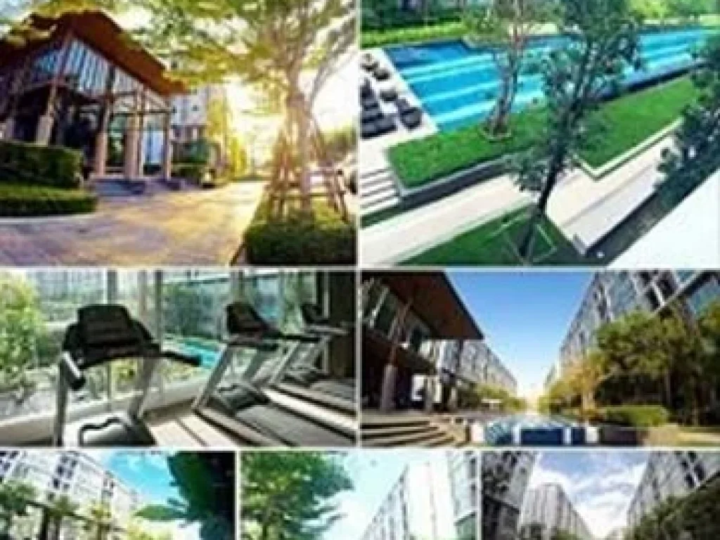 ว้าว บอกตรง ถูกใจ ขาย D condo kanjanavanich วิวสวย เฟอร์ครบ ครบเซตทุกเครื่องใช้ไฟฟ้า มอบให้เลย