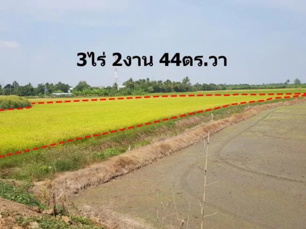 ขายที่ดิน 3 ไร่ 2 งาน 44 ตรวา ตพลับพลาไชย ออู่ทอง จสุพรรณบุรี