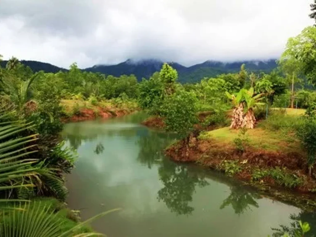 ขายที่โฉนดสวยติดทะเลติดถนนเหมาะทำรีสอร์ทจอดเรือบ้านตากอากาศ