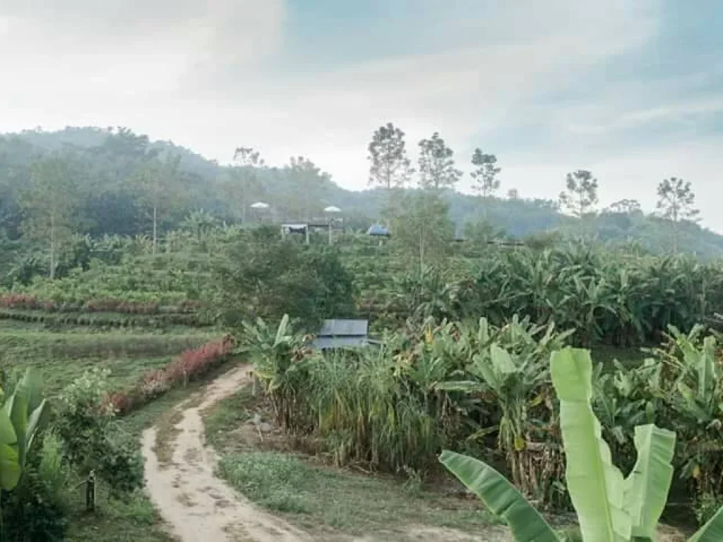 ขายที่ดินพร้อมร้านอาหาร บนม่อนสรอย สถานที่กางเต้นใกล้แหล่งชมวิว บรรยากาศดียามหนาว สวยเย็นใจ