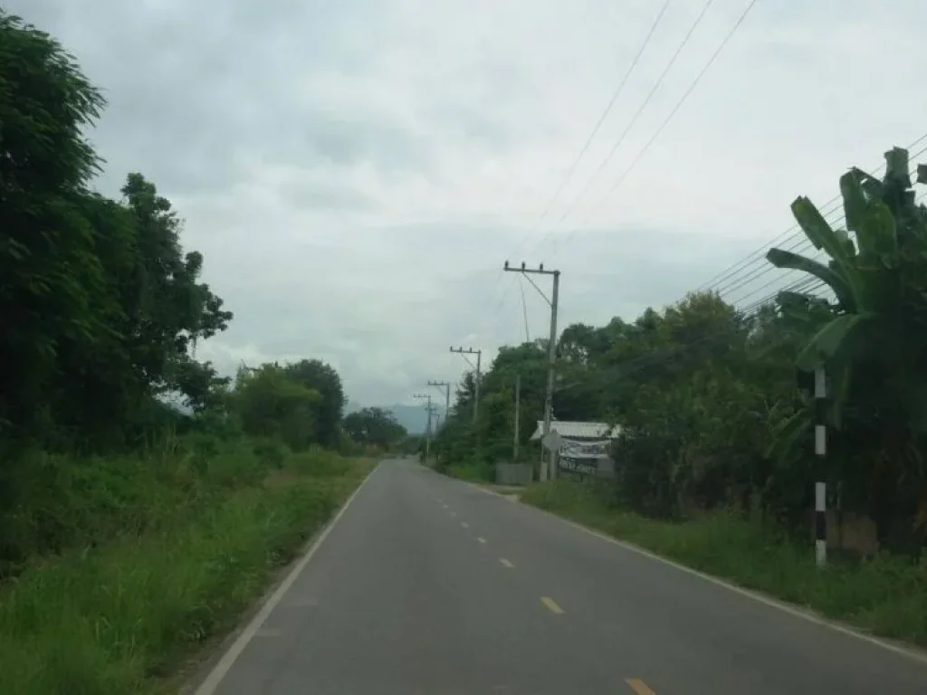 ที่นา วิวสวย ไร่หลักแสน สันป่าตอง เชียงใหม่