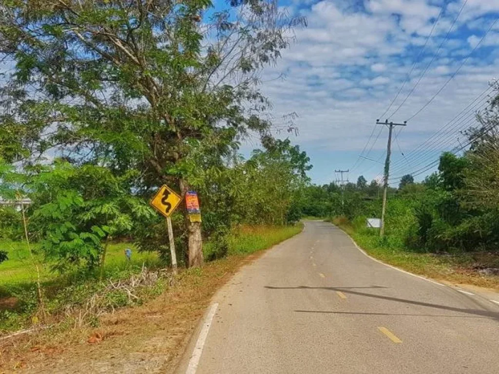 ขายที่ดินติดถนนลาดยาง ติดลำเหมือง วิวเขาสวย แม่แตง เชียงใหม่