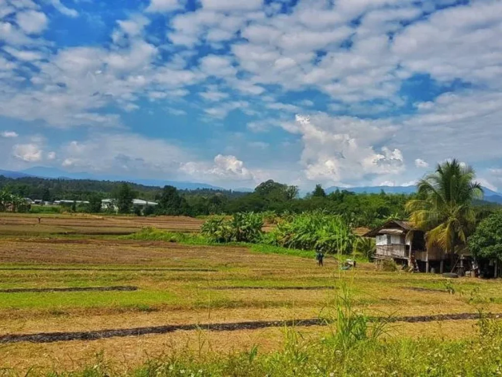 ขายที่ดินติดถนนลาดยาง ติดลำเหมือง วิวเขาสวย แม่แตง เชียงใหม่