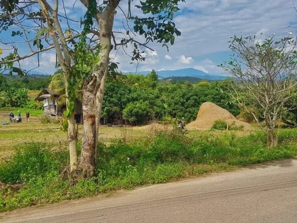 ขายที่ดินติดถนนลาดยาง ติดลำเหมือง วิวเขาสวย แม่แตง เชียงใหม่