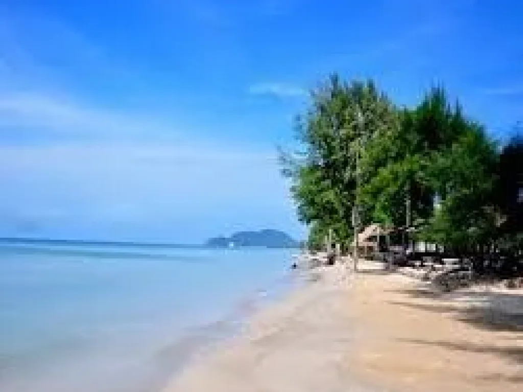 ขายที่ดินติดทะเลระยอง 25 ไร่ ชายหาดส่วนตัว ย่านโรงแรม รีสอร์ท