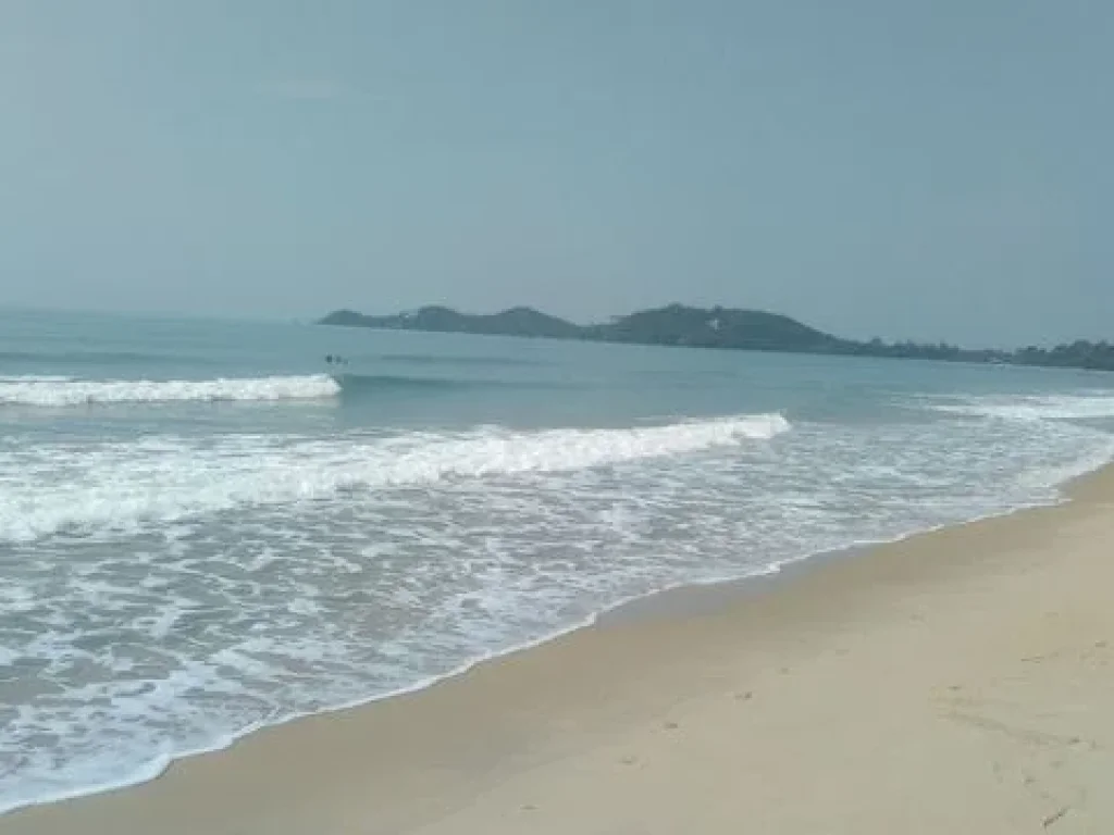 ขายที่ดินติดทะเลระยอง 25 ไร่ ชายหาดส่วนตัว ย่านโรงแรม รีสอร์ท