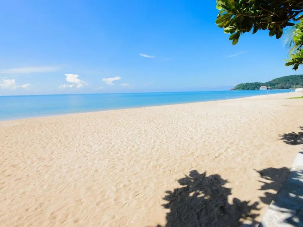 ขายที่ดินติดทะเลระยอง 25 ไร่ ชายหาดส่วนตัว ย่านโรงแรม รีสอร์ท