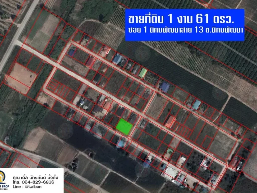 ขายที่ดิน 1 งาน 61 ตรว ซอยร่วมใจพัฒนา ซอยกำนัลนิด นิคมพัฒนาซอย 1 ตนิคมพัฒนา อนิคมพัฒนา จระยอง