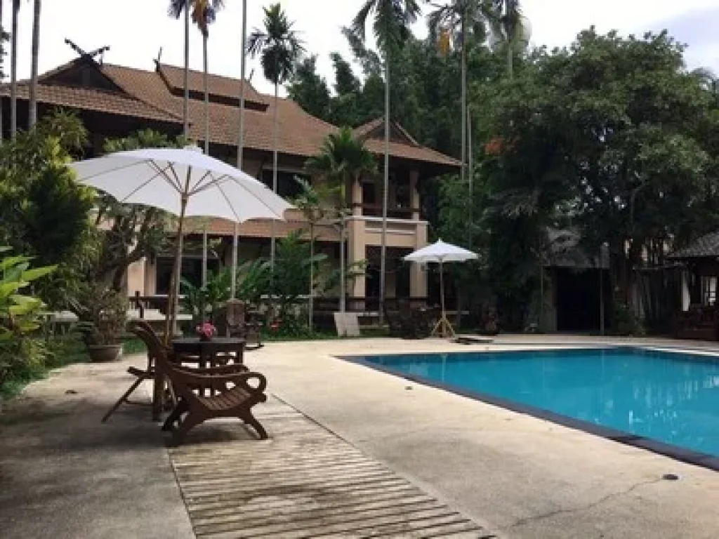 Resort ampamp Business Fire Sale in Chiangmai High Occupancy 525 MTHB