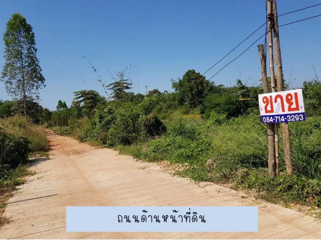 ขาย ที่ดิน 3 งาน 15 ตารางวา C56 ใกล้เทศบาลหนองปลาบาก 315 sqwa land at Sri Chiangmai District Nongkhai Province for sale