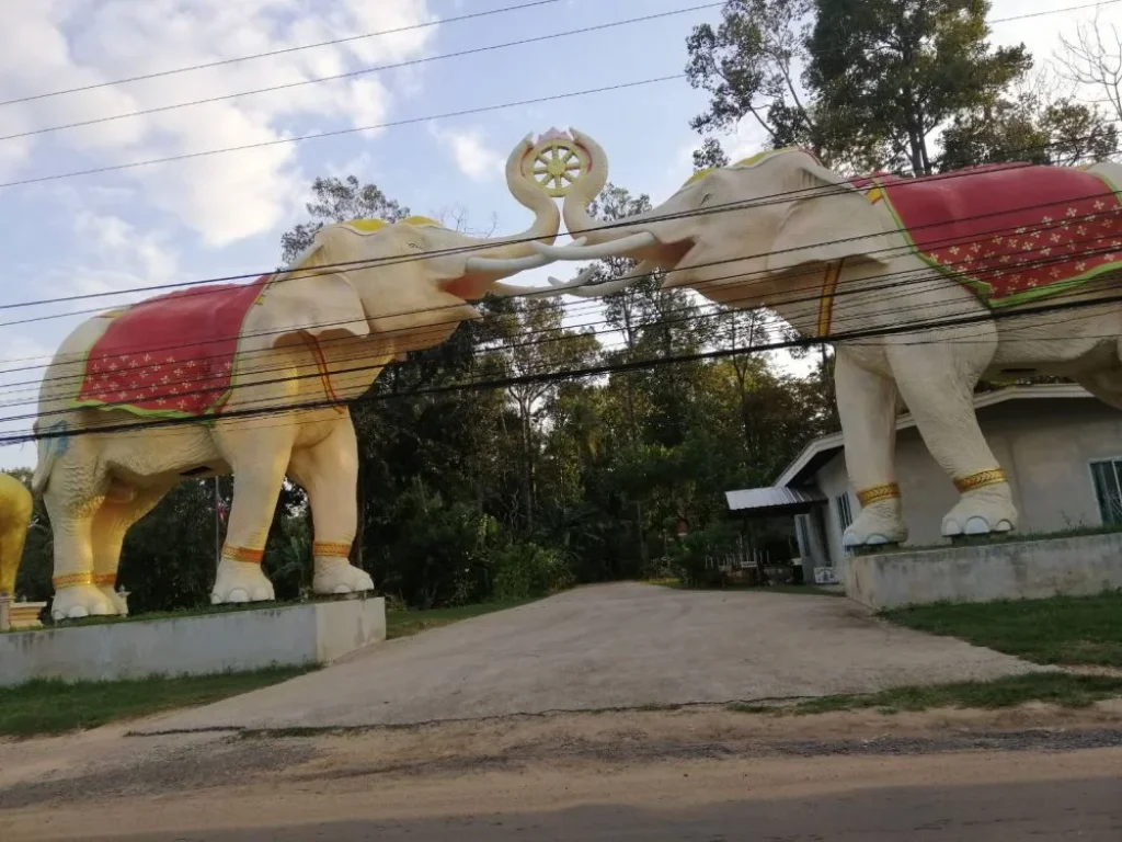 ที่ดินเปล่า 4 ไร่ 3 งาน บ้านเชื่อก ต หนองบ่อ อ เมือง จ อุบลราชธานี ติดถนน กำลังสร้างถนนสี่เลน