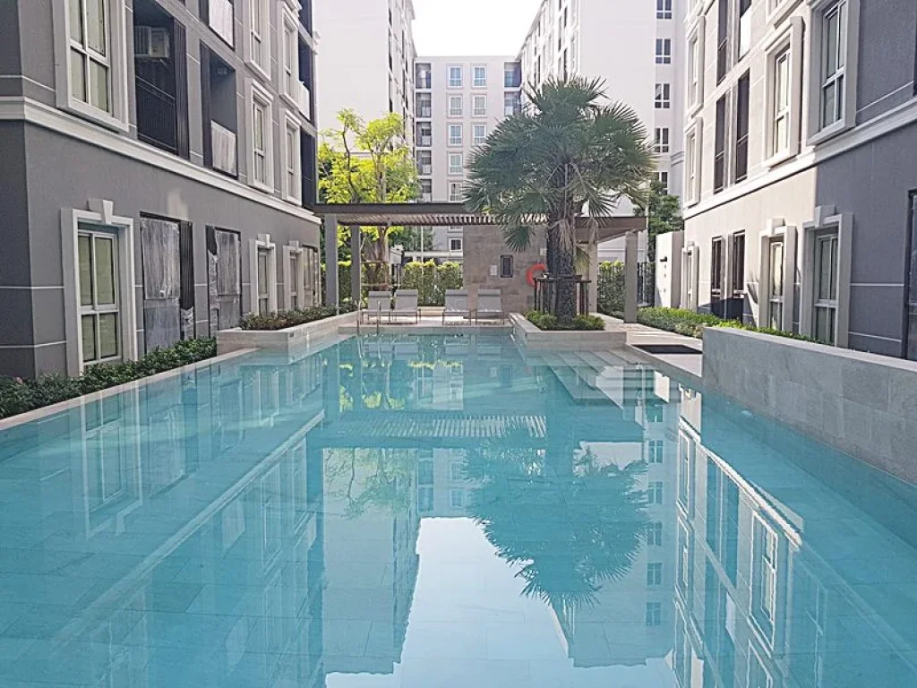 ขาย พลัม คอนโด Plam Condo แจ้งวัฒนะ เฟส 2 เฟอร์ครบ ฟรีค่าโอน