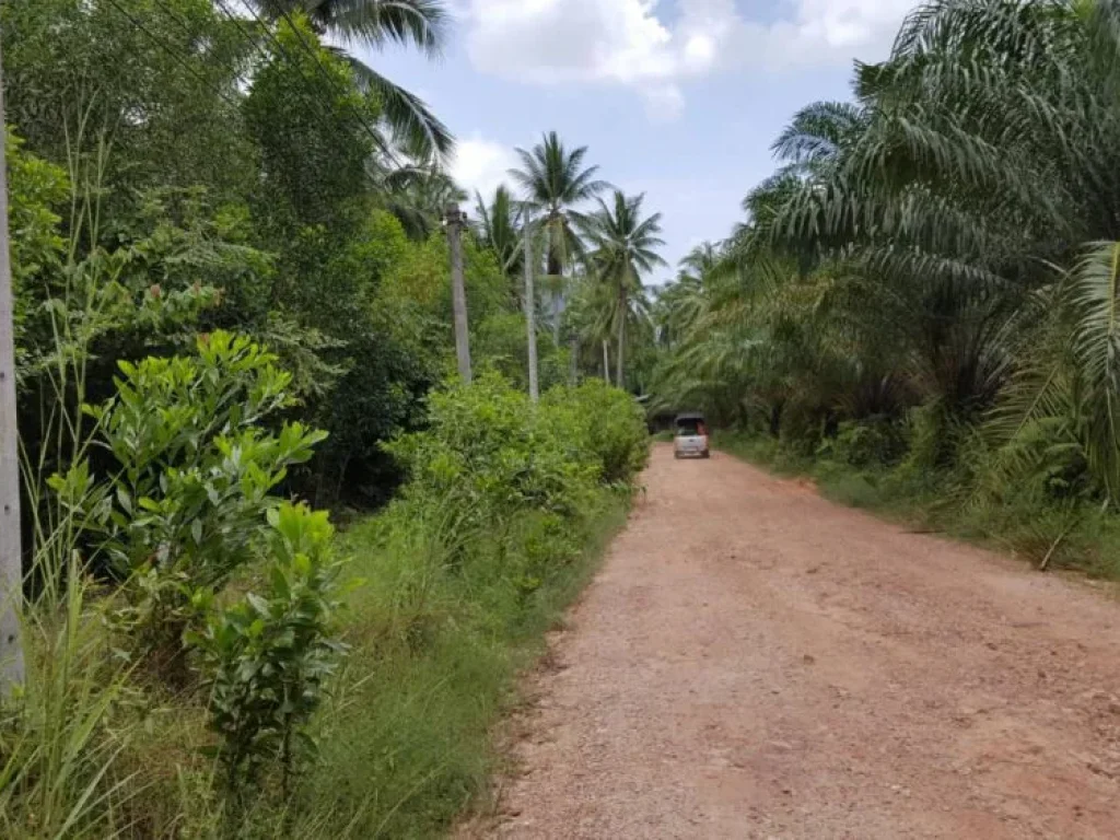 ขายที่ดินเกาะยาวใหญ่พังงา