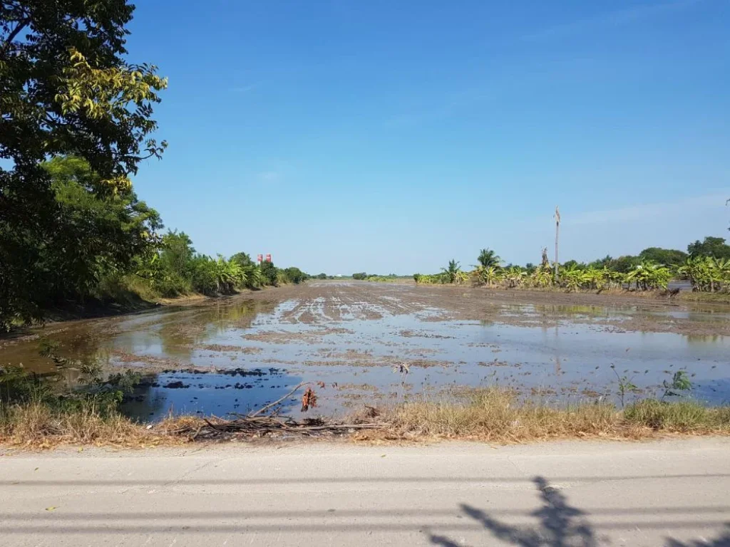 ขายที่ดินปทุมธานี ใกล้ถนนกาญจนา 20 ไร่ ถูกกว่าตลาด