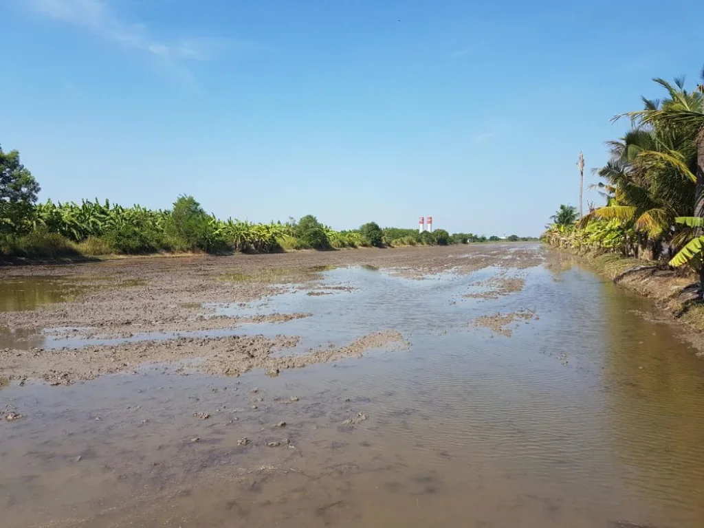 ขายที่ดินปทุมธานี ใกล้ถนนกาญจนา 20 ไร่ ถูกกว่าตลาด