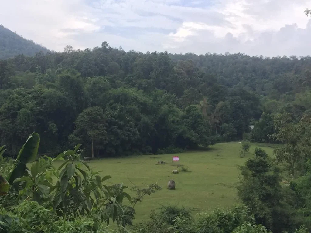 ขายที่ดิน 6 ไร่ ดอยสะเก็ด เชียงใหม่ ใจกลางธรรมชาติ บรรยากาศดี