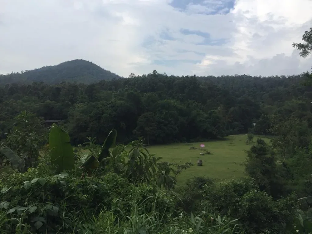 ขายที่ดิน 6 ไร่ ดอยสะเก็ด เชียงใหม่ ใจกลางธรรมชาติ บรรยากาศดี