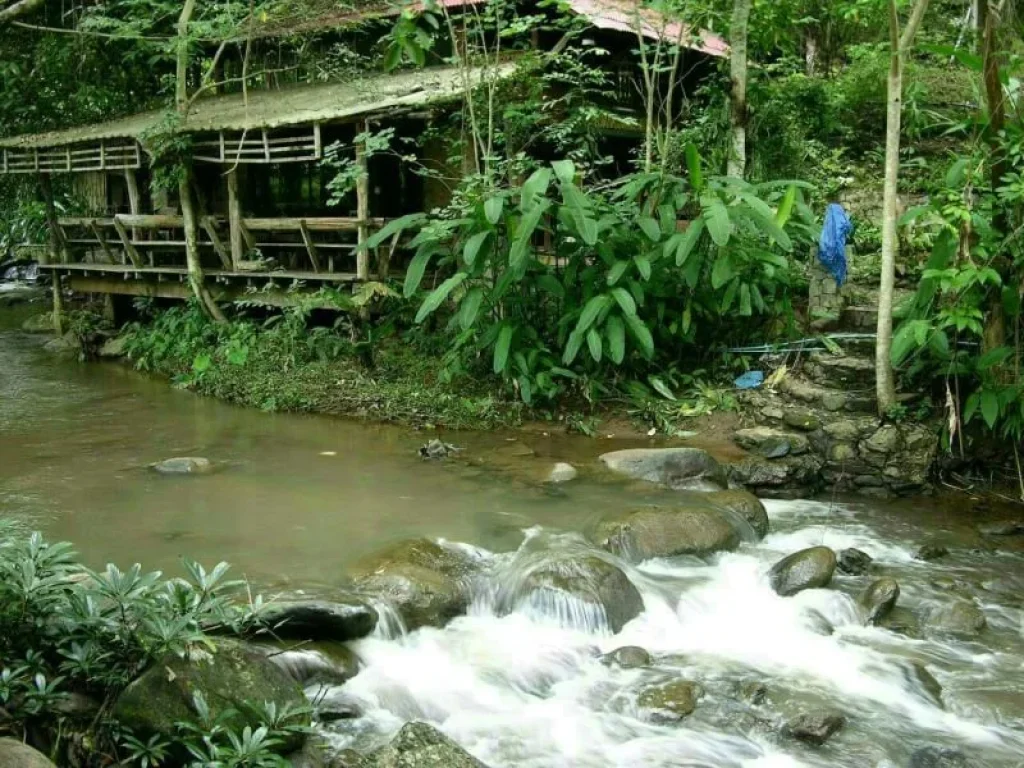 ขายที่ดินติดธารน้ำ บ้านปง หางดง ราคาถูก