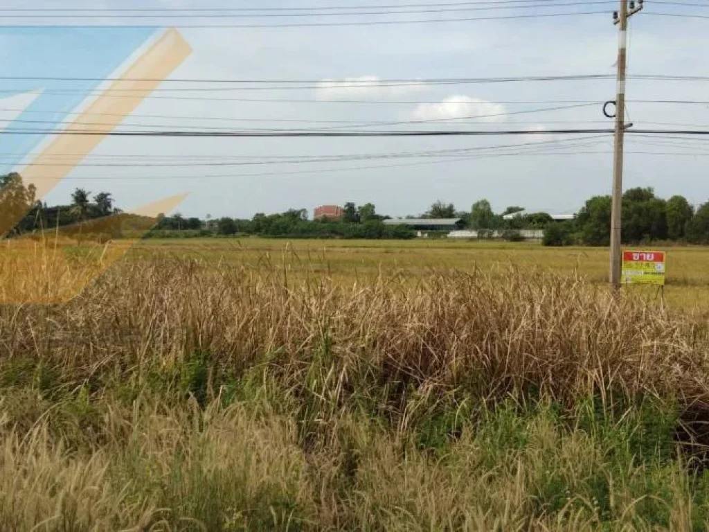 ขายที่ดินสวยติดถนน เส้นเสนา - พระนครศรีอยุธยา