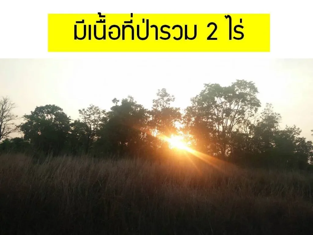 ขายด่วน ที่ดินทำเลเยี่ยม 21 ไร่ ใกล้ ม นครพนม ห่างถนนใหญ่เพียง 300 เมตร