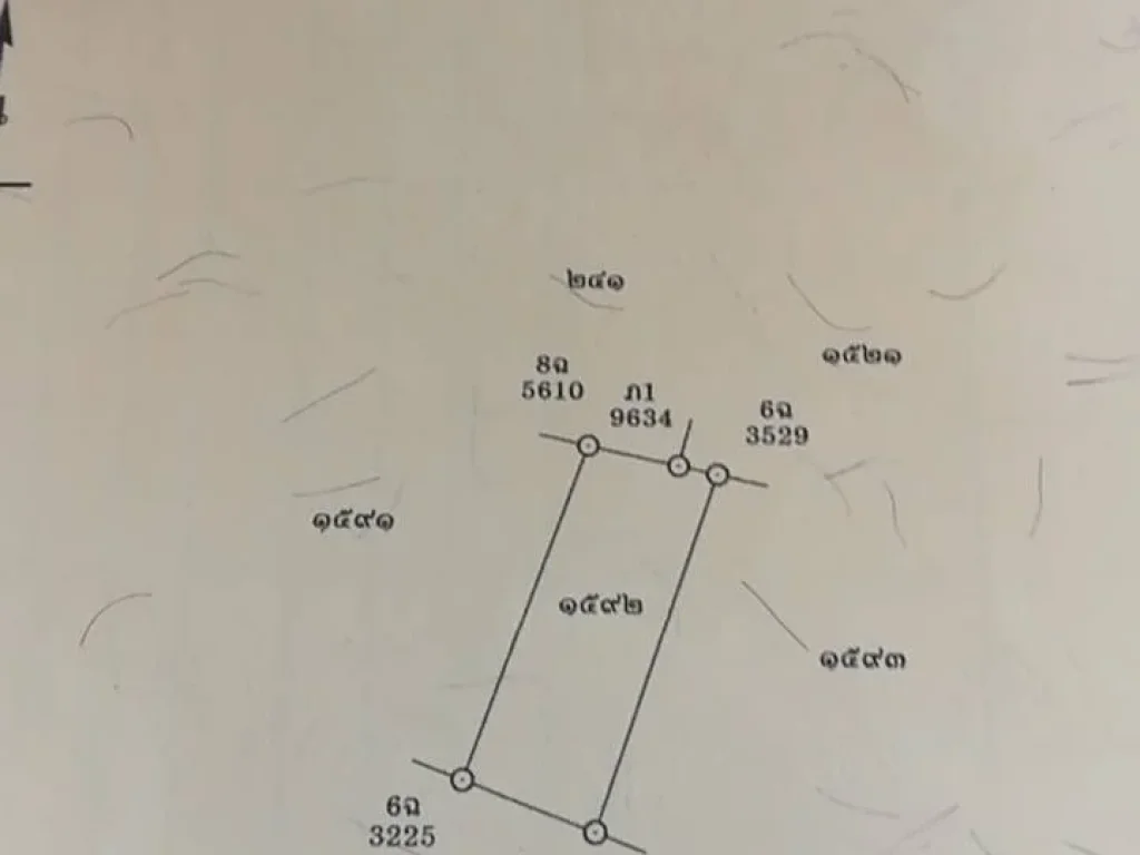 ที่ดินเปล่า แปลงละ 116 ตรว มี 2 แปลง อเมือง จระยอง