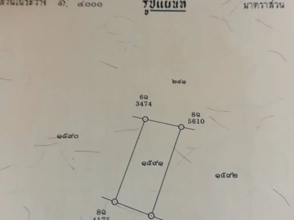 ที่ดินเปล่า แปลงละ 116 ตรว มี 2 แปลง อเมือง จระยอง