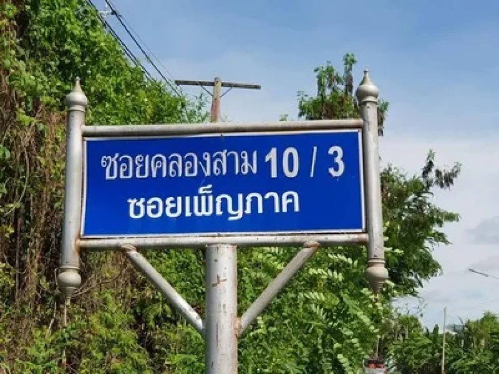 ขายที่ดินเปล่าแปลงสวย 100 ตรว ซคลองสาม 103 ใกล้วัดพระธรรมกาย ตลาดไท ตลาดไอยรา