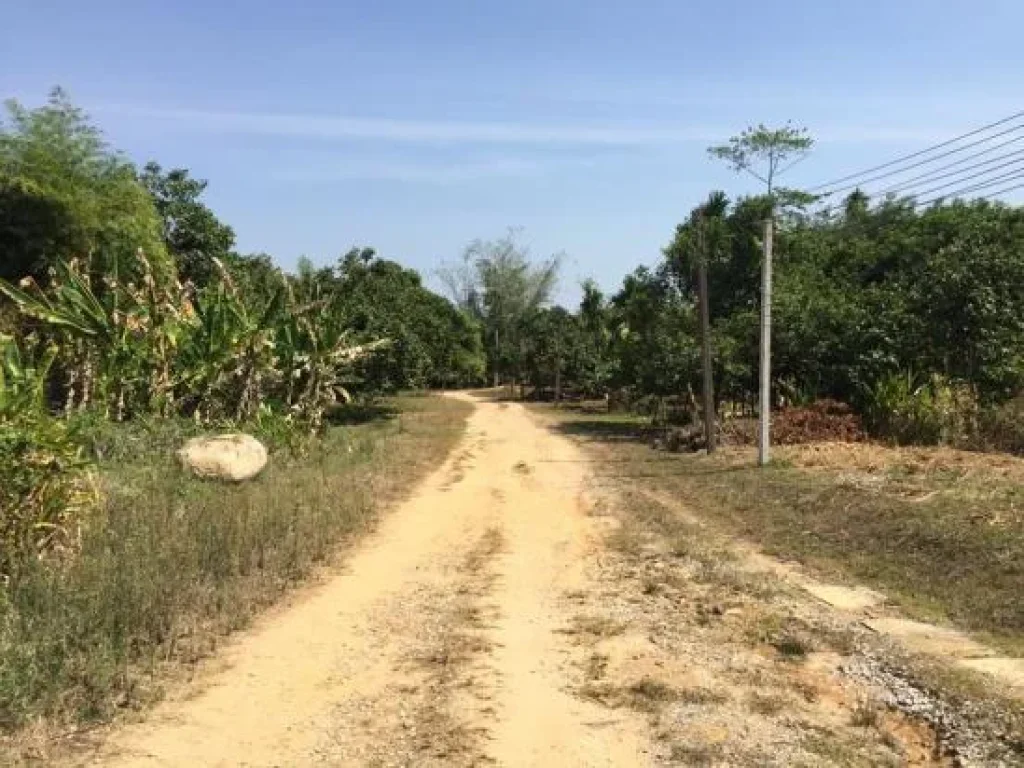 ขายที่ดิน ติดเขาสุกิม ตเขาบายศรี อท่าใหม่ จันทบุรี พร้อมสวนผลไม้ เนื้อที่ 104 ไร่ ทำเลดี