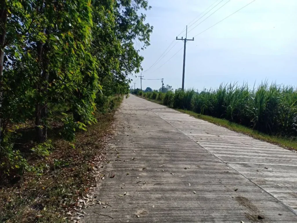 ขายที่ดินสุพรรณบุรี-ดอนเจดีย์