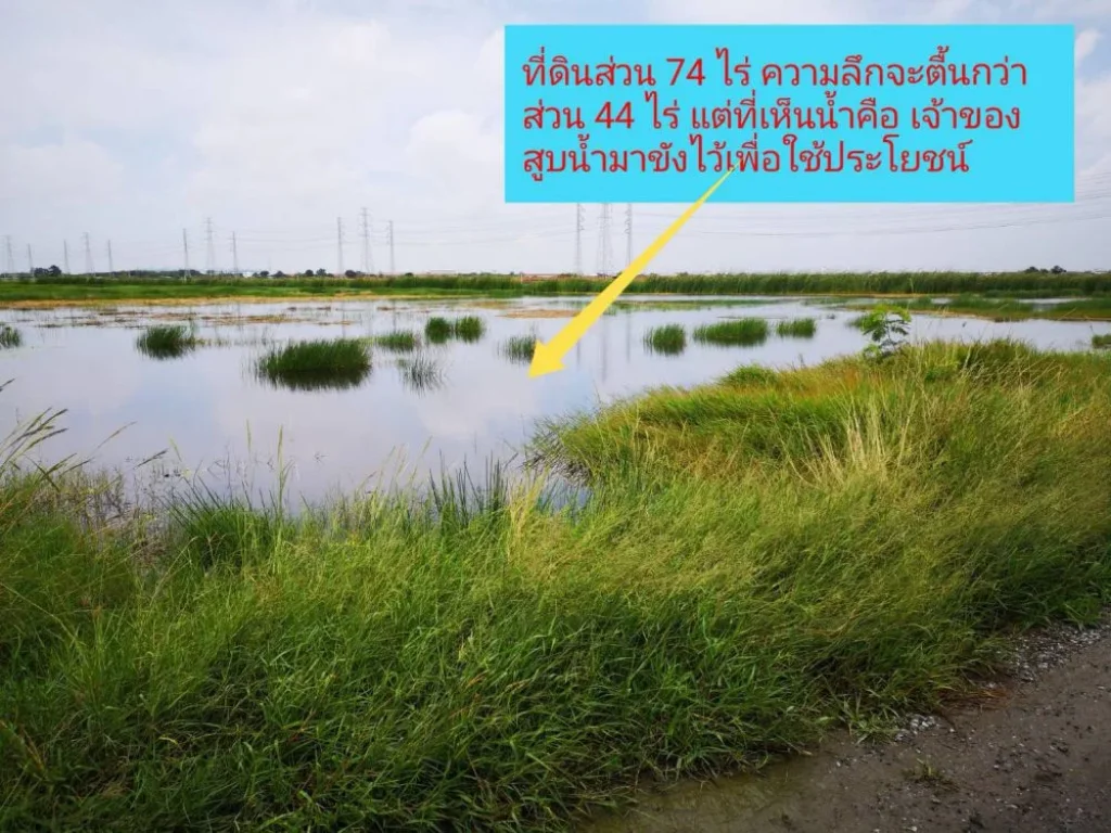 ด่วน ที่ดินแปลงสวย 118 ไร่ ราคาถูกมาก บางนา กม33 ถูกที่สุด หาไม่ได้แล้ว