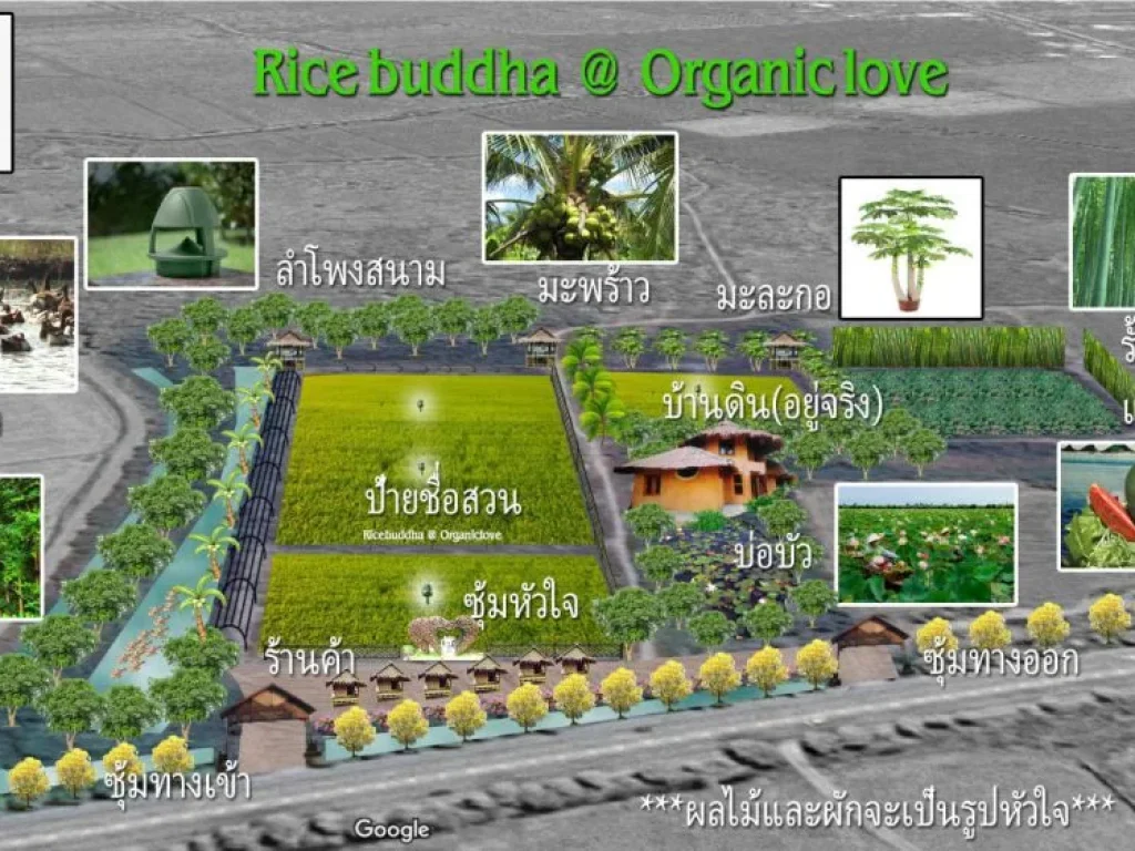 ขายที่ดิน 33-1-99 ไร่ วิเศษฯ-สุพรรณบุรี