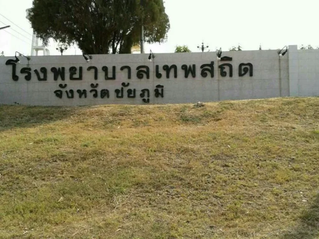 ขายที่ดิน 2 งาน พร้อมบ้าน 1 หลัง ตวะตะแบก อเทพสถิต จชัยภูมิ