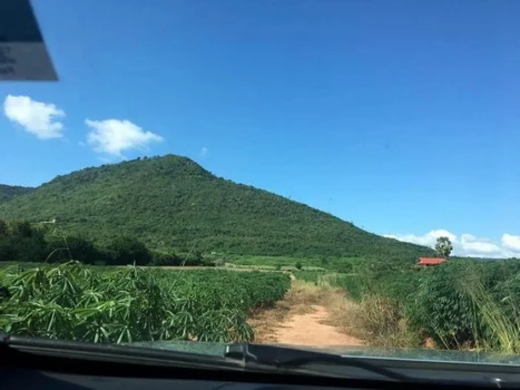 ขายที่โคราช ราคาว๊าวๆ ใกล้เขื่อนลำตะคอง ติดถนนสุดบรรทัด