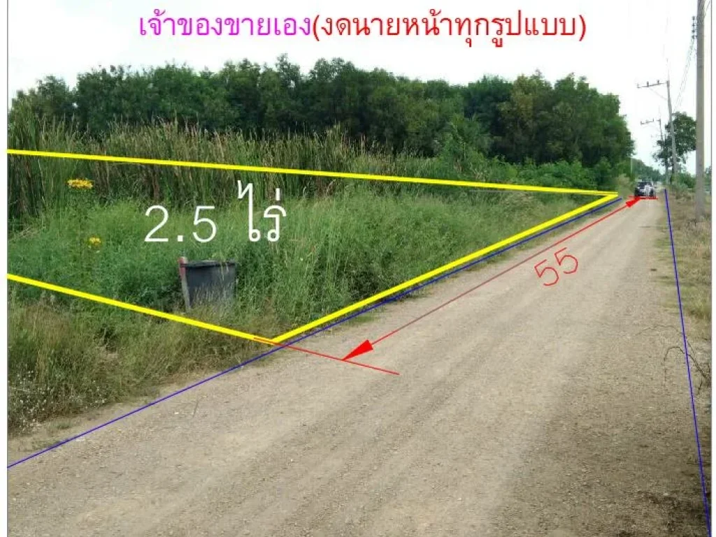 ขายที่ดินเปล่า 2 ไร่ 2 งาน คลองหลวง ปทุมธานี