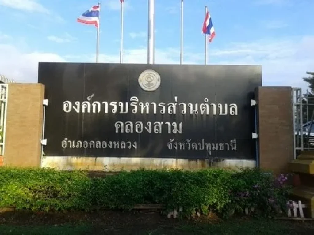 ขายที่ดินสวยคลองสาม ใกล้อบต เนื้อที่ 200 ตรว ปทุมธานี