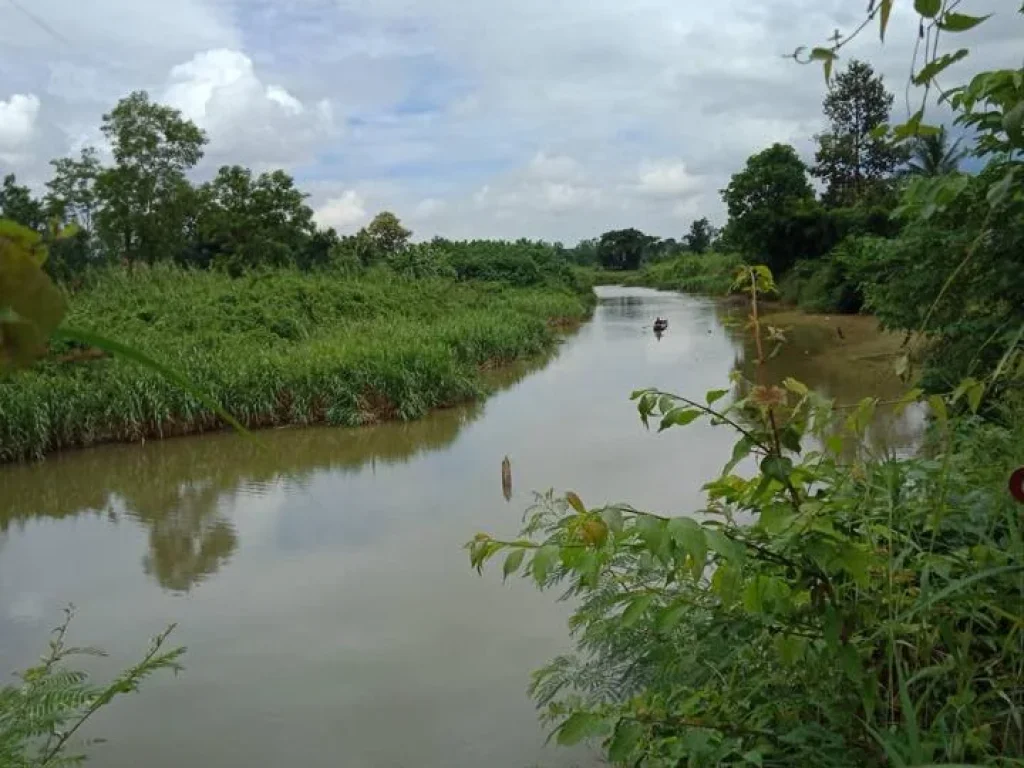 ที่ดินติดแม่น้ำ ริมคลอง พร้อมสวนมะปราง