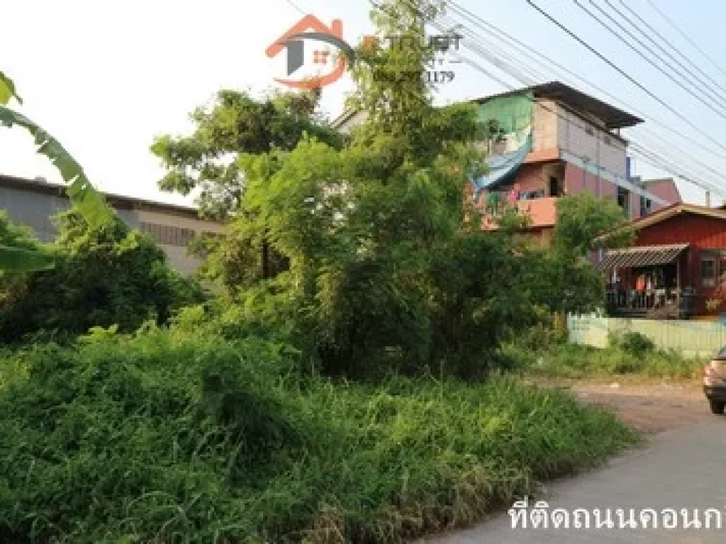 ขายที่ดิน เทียนทะเล ซ7 บางขุนเทียน-ชายทะเล แสมดำ บางขุนเทียน เหมาะสำหรับปลูกบ้าน ห้องเช่า โกดัง