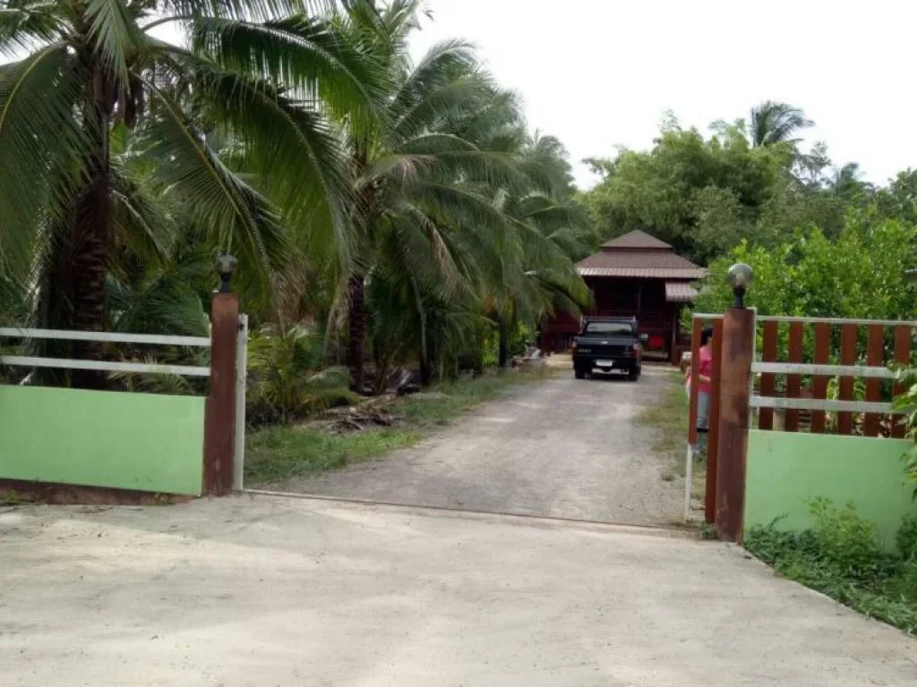 ขายที่ดินพร้อมบ้านและอาคารขายของ