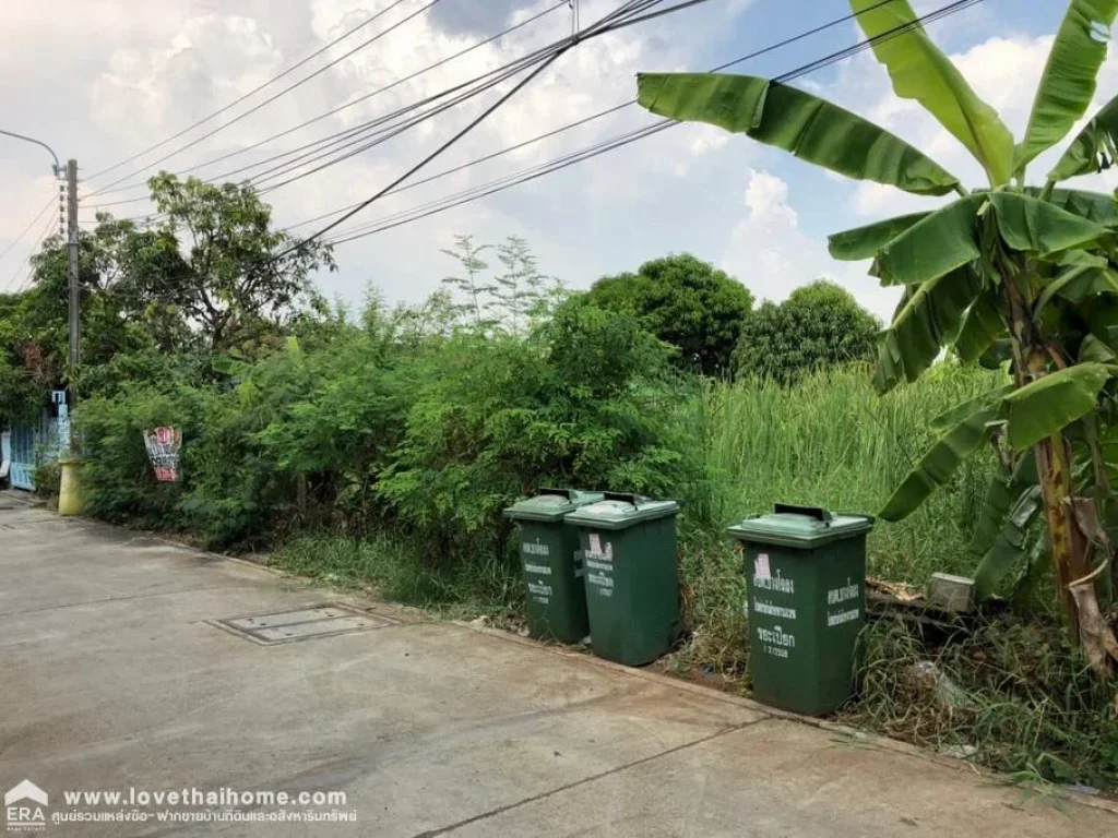 ขายที่ดินถนนบางนา-ตราด กม16 ซอยพูลเจริญ3 พื้นที่100ตรว ขาย189ล้านบาท แปลงสวย สี่เหลี่ยมจตุรัส