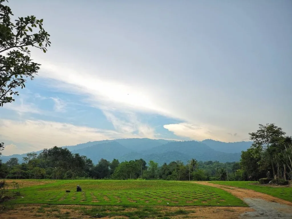 ขายที่ดินชลบุรี ติดลำห้วยธรรมชาติ ใกล้น้ำตกชันตาเถร -- Land for sell in Bangpra Sriracha with natural stream