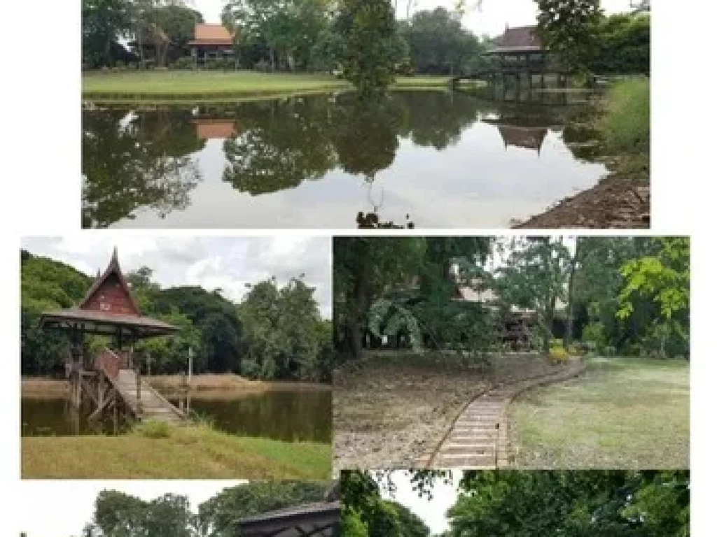 ขายที่ดินริมแม่น้ำ พร้อมเรือนไทย อายุเกือบ 100 ปี อบางไทร จอยุธยา